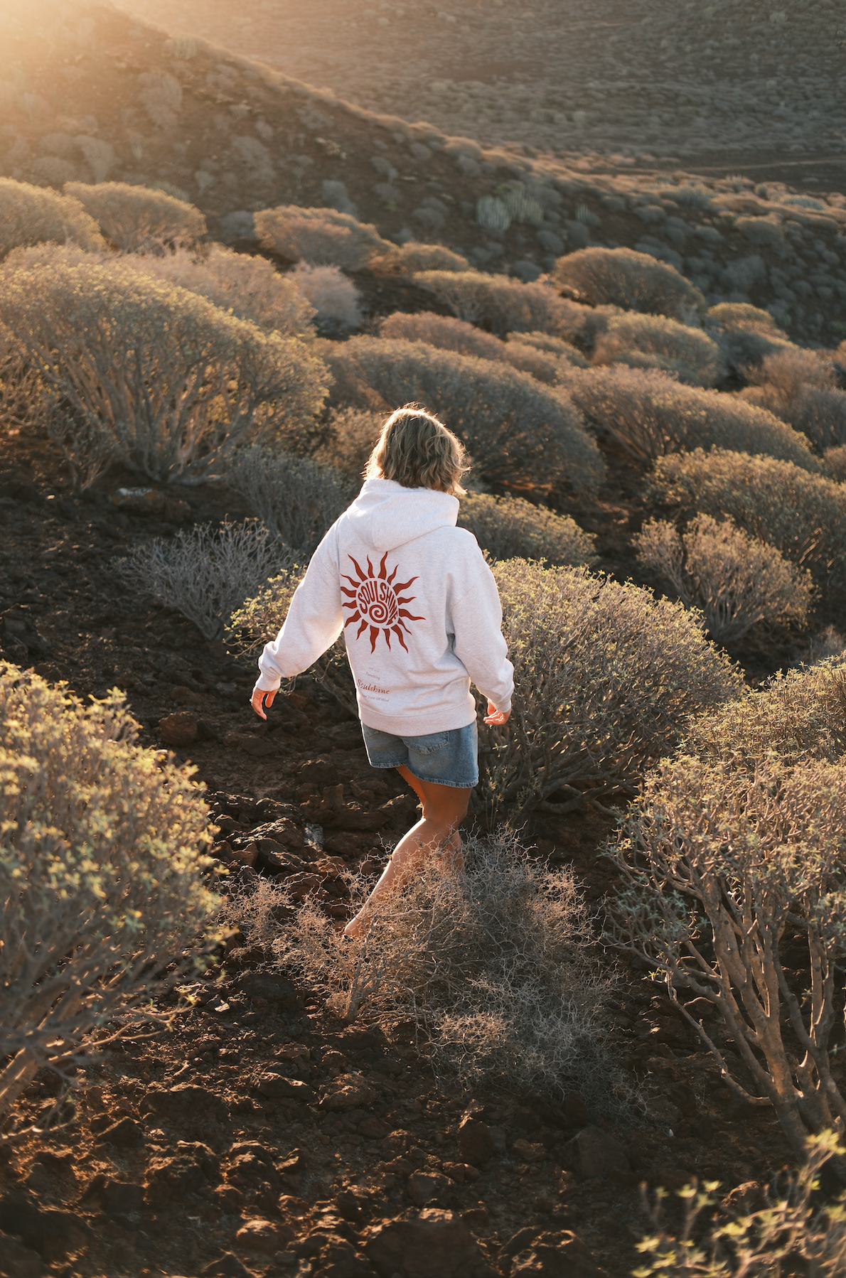 Sunshine Vol.1 - Hoodie - Cool Heather Grey